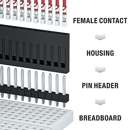 1550PCS Dupont Connector Kit