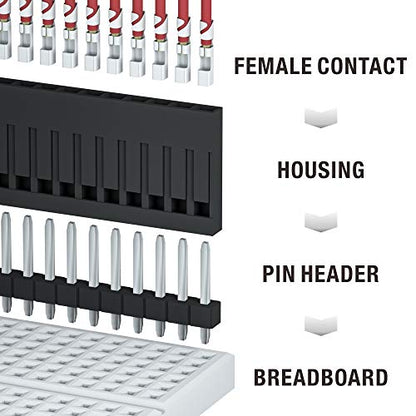 1550PCS Dupont Connector Kit